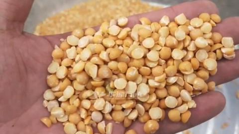 Peladora de la piel de la máquina peladora de guisantes amarillos